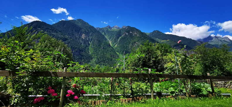 WhatsApp-Image-2022-07-09-at-19.53.20