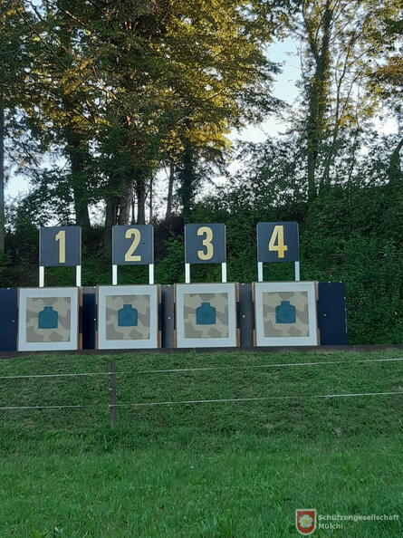 8fc999b8-21d8-4d1a-ac35-253eb9f05986