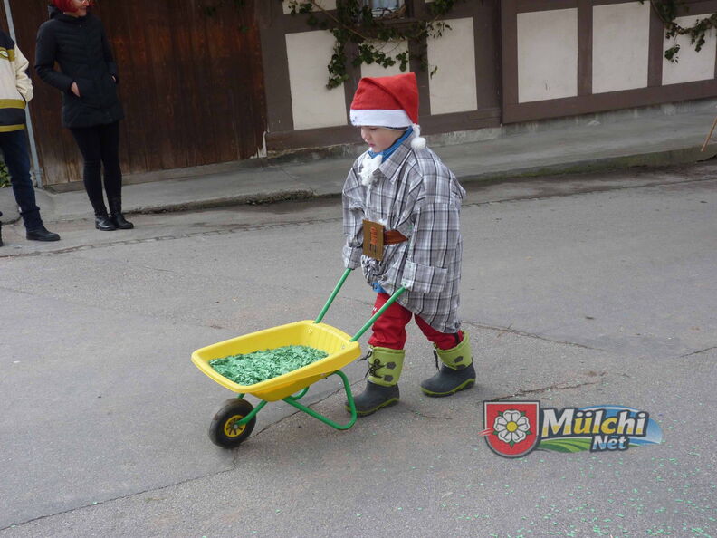 Fasnacht2017 11