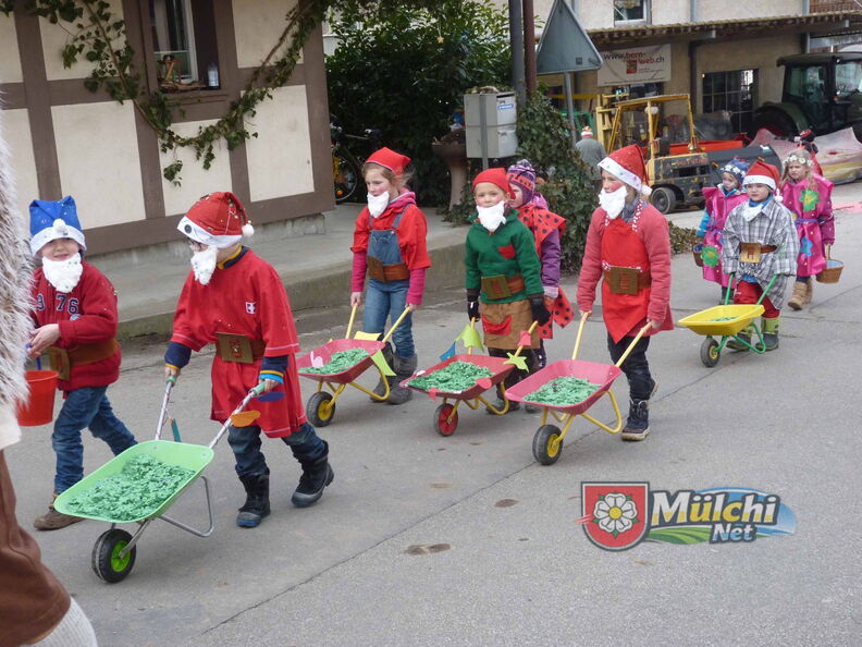 Fasnacht2017 12