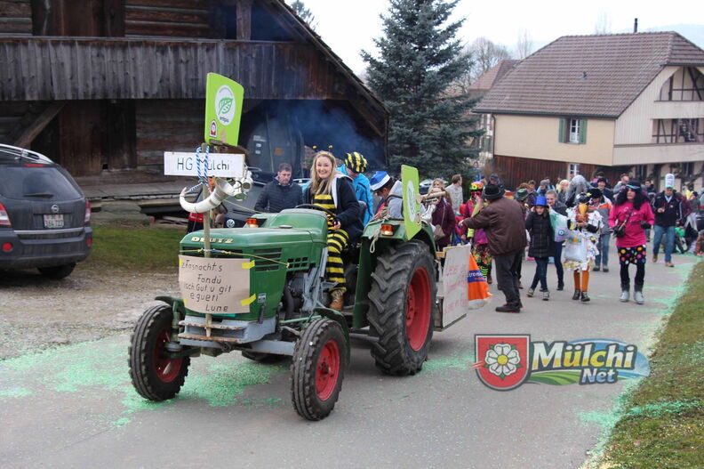 Fasnacht2017 22